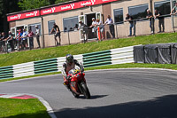 Vintage-motorcycle-club;eventdigitalimages;mallory-park;mallory-park-trackday-photographs;no-limits-trackdays;peter-wileman-photography;trackday-digital-images;trackday-photos;vmcc-festival-1000-bikes-photographs